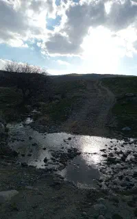 همراه پیاده روی دو نفره