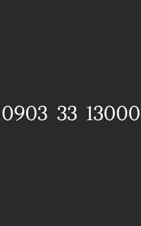 0903.33.13000