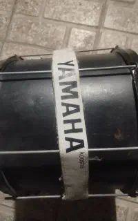 دو عدد دوقل حرفه ای