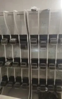 استند