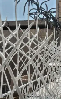 نرده دیوار. شاخ گوزنی