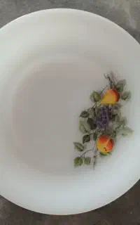 ظروف آرکوپال فرانسوی گل میوه