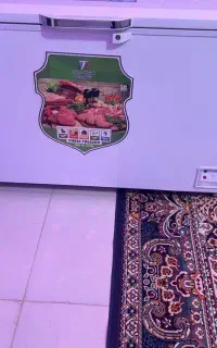 یخچال فریز نو ۲ روز توی برق بود
