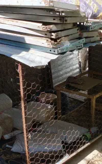 قفس مرغ و خروس