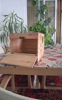 لونه گرینچیک عروس وراهب