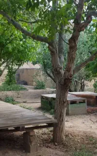 برگزاری جشن‌دورهمی‌وتولد درییلاق انزو