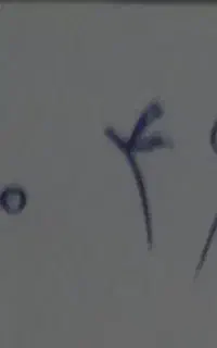 خط تلفن ثابت مخابرات الغدیر
