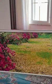 پرده شیدتصویری برای اوپن آشپزخونه