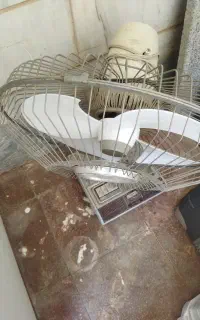 پنکه
