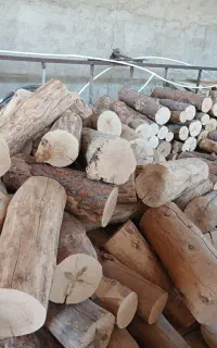 برش چوب ساعتی