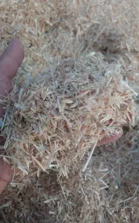 کاه گندم کاهکوب