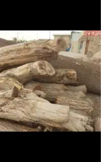 خرید انواع چوب