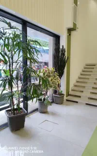 طراحی و اجرای فضای سبز