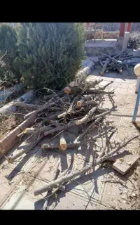 گود برداری تیلر زدن آره موتوری