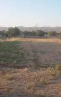 استخدام کشاورز