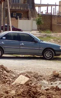 405 نوک مدادی دلفینی