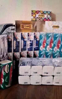 حسابدار خانم
