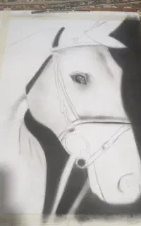 نقاشی A2اسب
