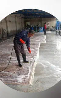 قالیشویی ماه دوست