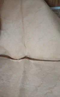 موکت دسته۲