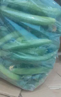 خیار قلمی