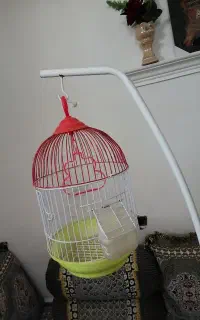قفس و چوب درختی