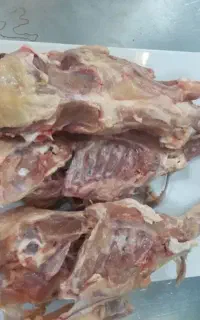 خریدار سکلت مرغ