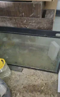 اکواریوم خم بزرگ