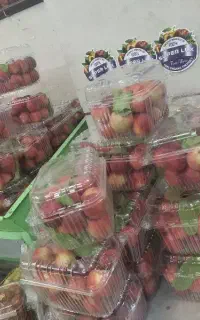 کارگر ساده جهت کار در میوه فروشی