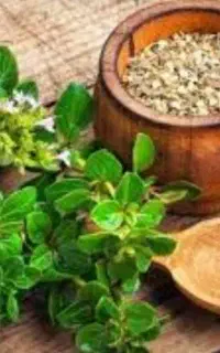 انواع روغن گیاهی و طبیعی