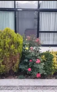 کوثرجنوبی/عرض واحد۲۰متر/فستیوال نور