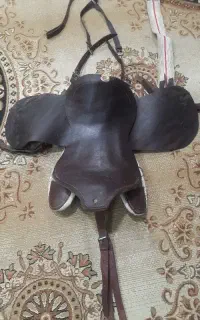 یک عدد زین  اسب با تمام وسایل
