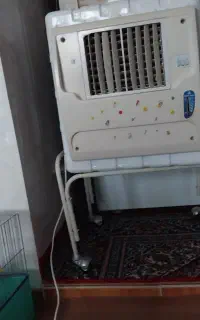 یک کولرابی به قیمت ۳ میلیون