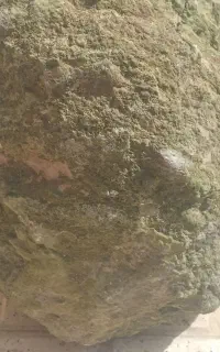 سنگ کلکسیونی سبز