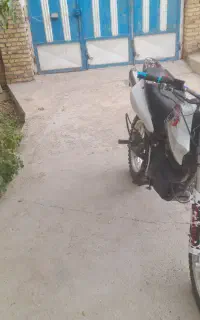 تریل رادیسون ۲۵۰