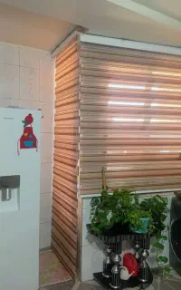 پرده زبرا