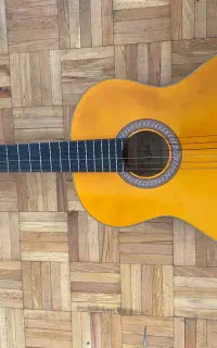 گیتار آریا ak20