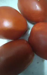 گوجه درجه یک ارگانیک وبادمجان،گ