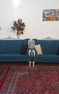 ویلای دربست