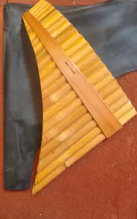 پن فلوت کاملا نو