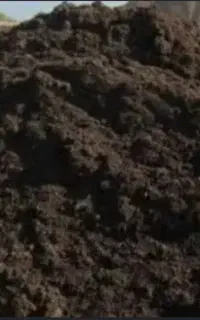 کود حیوانی گوسفندی
