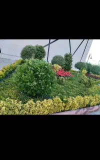 خدمات باغبانی فضای سبز مشاوره رایگان