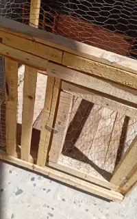 قفس چوبی  جفت کن کبوتر ومرغ وجوجه