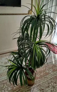 گل مصنوعی