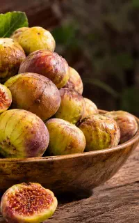 انجیر سیاه کوهی