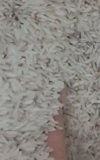 10کیلو برنج طارم