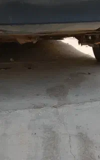 پژو روا