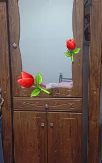 جاکفشی سالم