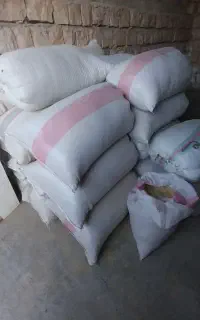 کاه عدس در کوهنانی