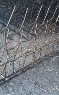 حفاظ شاخ گوزنی نمونه اصلی
